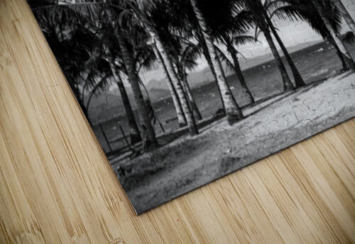 Whispers of Monochrome Palms Bo Insogna puzzle