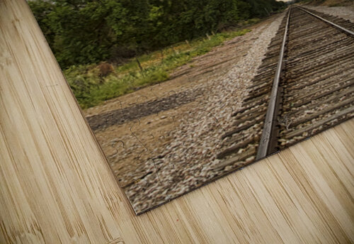 Lightning Striking By The Train Tracks Bo Insogna puzzle