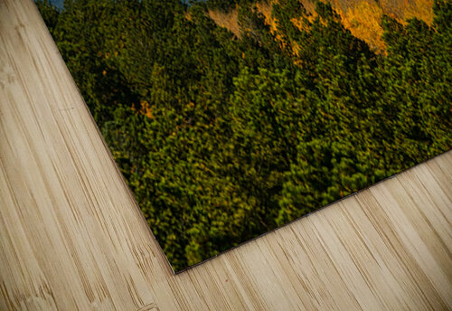 Rocky Mountain Pool of Gold Bo Insogna puzzle