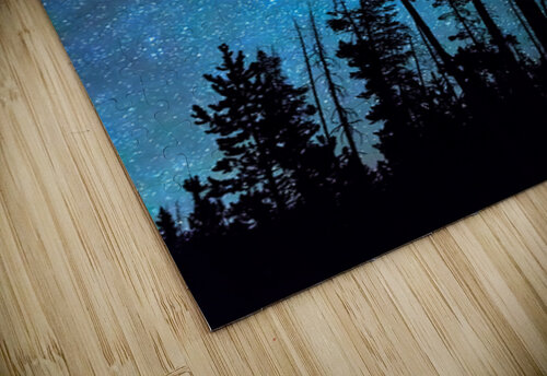 Pinnacle Of The Forest  Bo Insogna puzzle