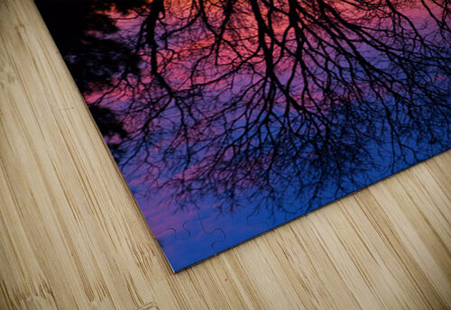 Sunset Trees Abstract Reflection Art Bo Insogna puzzle