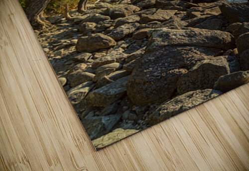 Jenny Lake Rocky Shoreline Grand Teton National Park Fine Art Print Bo Insogna puzzle