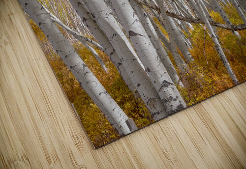 Stick Forest jigsaw puzzle