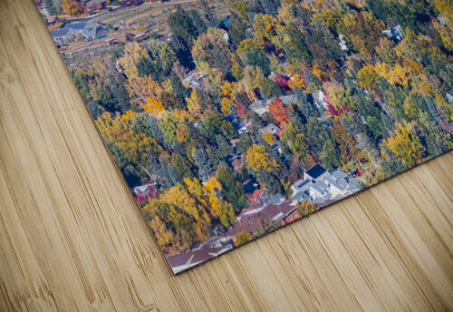 Colorful Trees Boulder Colorado jigsaw puzzle