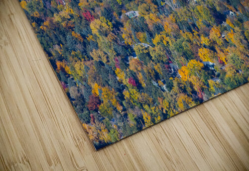 Fall Foliage Boulder Colorado jigsaw puzzle