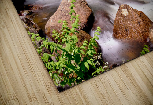 Cascading Rocky Mountain Forest Creek jigsaw puzzle