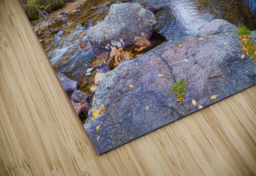 Special Place In The Woods jigsaw puzzle