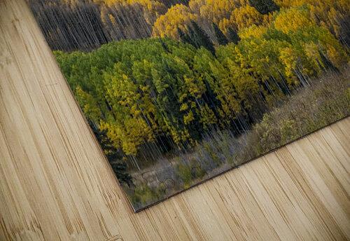 Rocky Mountain Autumn Season Colors puzzle