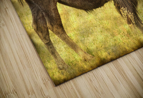Bison jigsaw puzzle