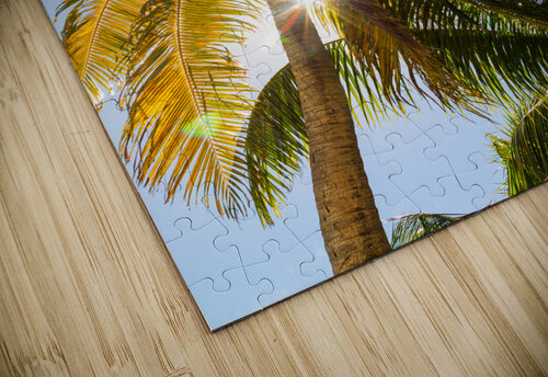 Sunshine and  Tall Palm Trees Extends Towards the Sky Bo Insogna puzzle
