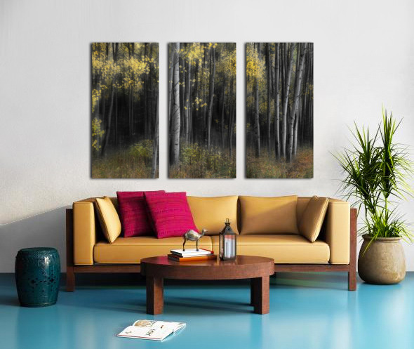 Aspen Tree Grove Into Darkness Split Canvas print