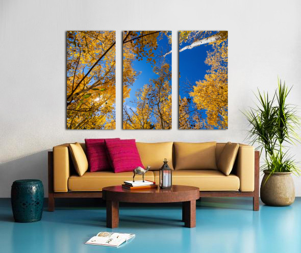 Blue Sky Autumn Bliss Split Canvas print