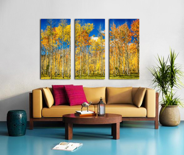 colorful colorado autumn aspen trees Split Canvas print