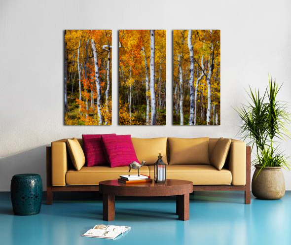 Forest Color Burst Split Canvas print