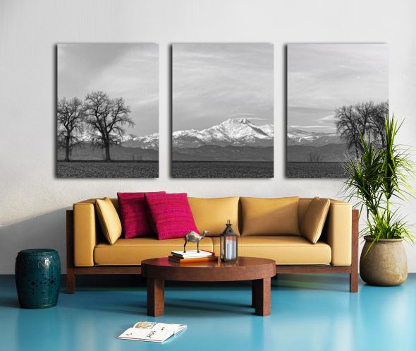Twin Peaks Between The Trees BW Panorama Split Canvas print