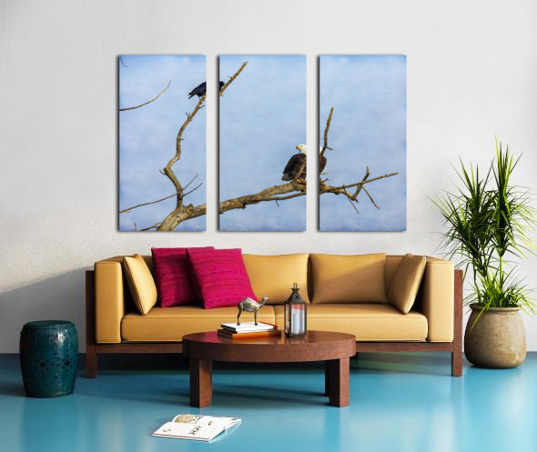 Bald Eagle Crow Split Canvas print