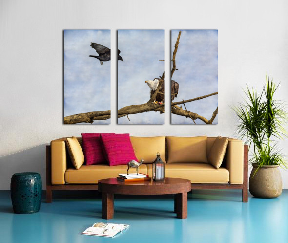 Crow Attacking Bald Eagle Split Canvas print