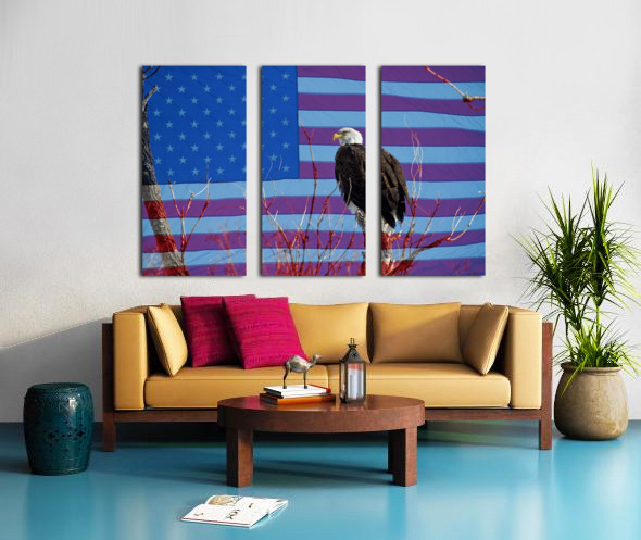 American Bald Eagle 3 Split Canvas print
