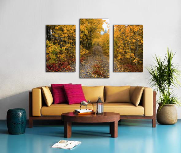 Colorful Autumn Hiking Path Canvas print