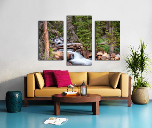 Rocky Mountains Stream Scenic Landscape Canvas print