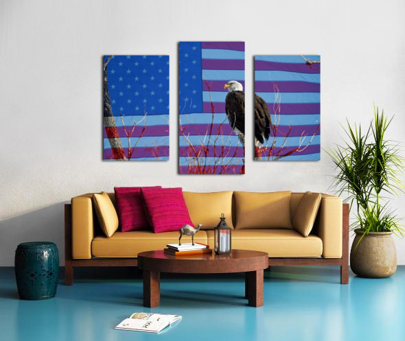 American Bald Eagle 3 Canvas print