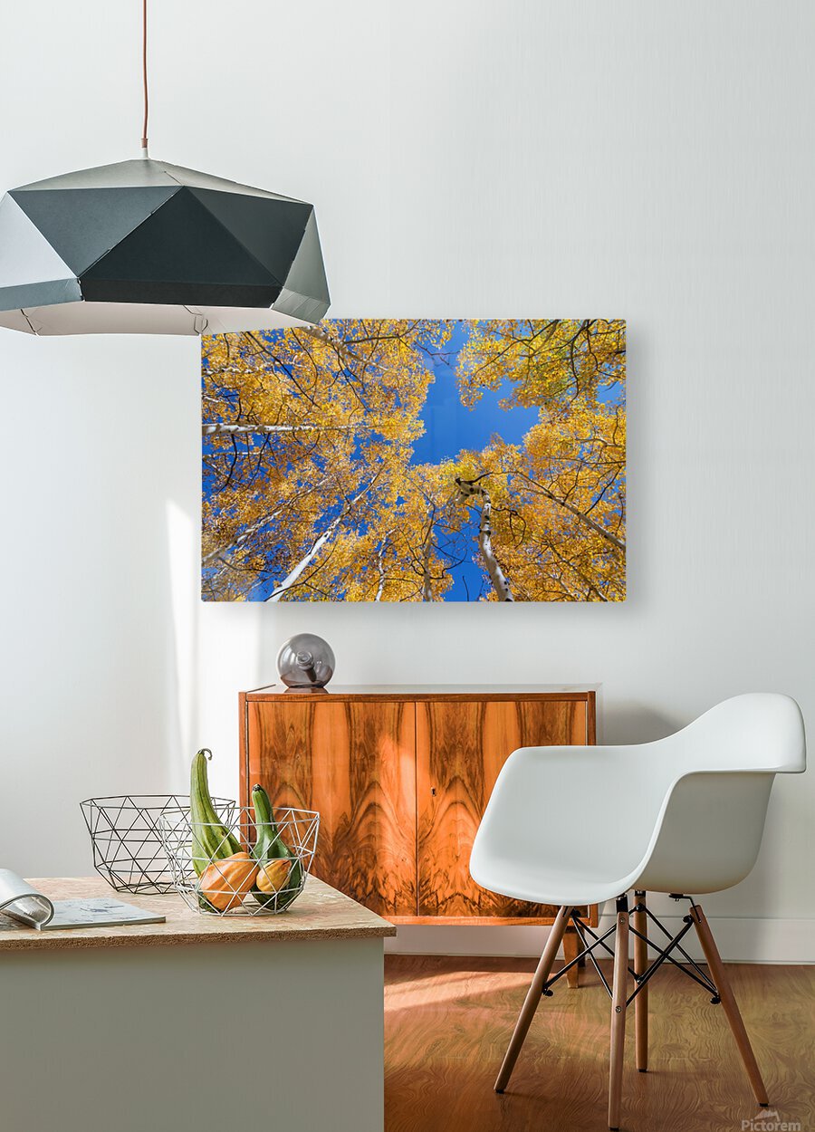 Aspen  Curve  HD Metal print with Floating Frame on Back