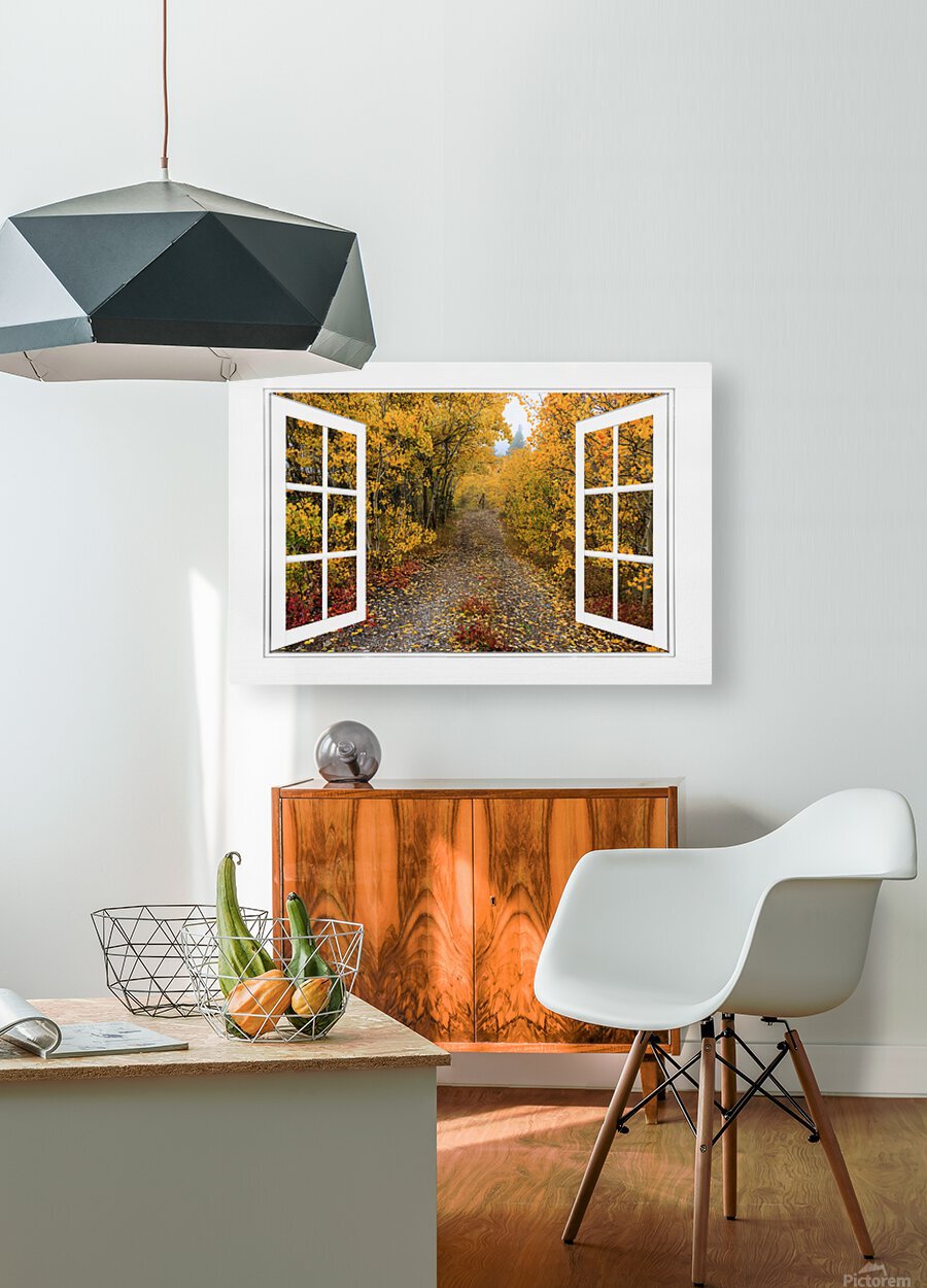 Colorful Trees Down the Drive White Open Window  HD Metal print with Floating Frame on Back