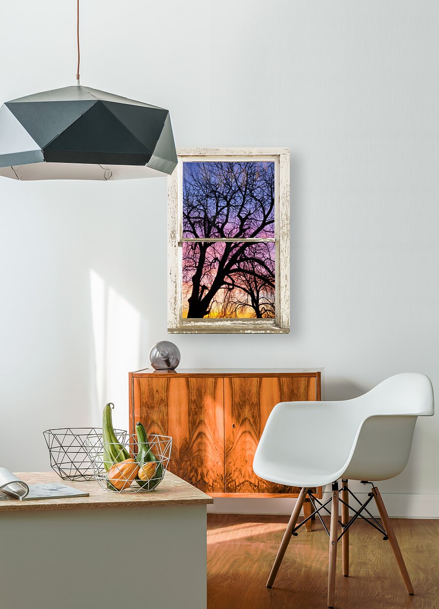 Colorful Tree White Farm House Window Portrai  HD Metal print with Floating Frame on Back