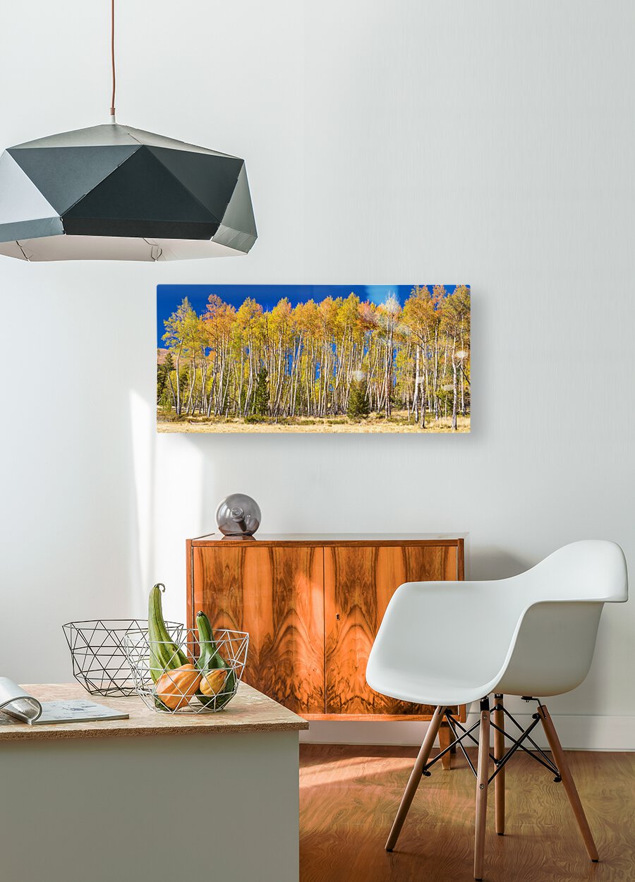autumn aspen trees Panorama1  HD Metal print with Floating Frame on Back