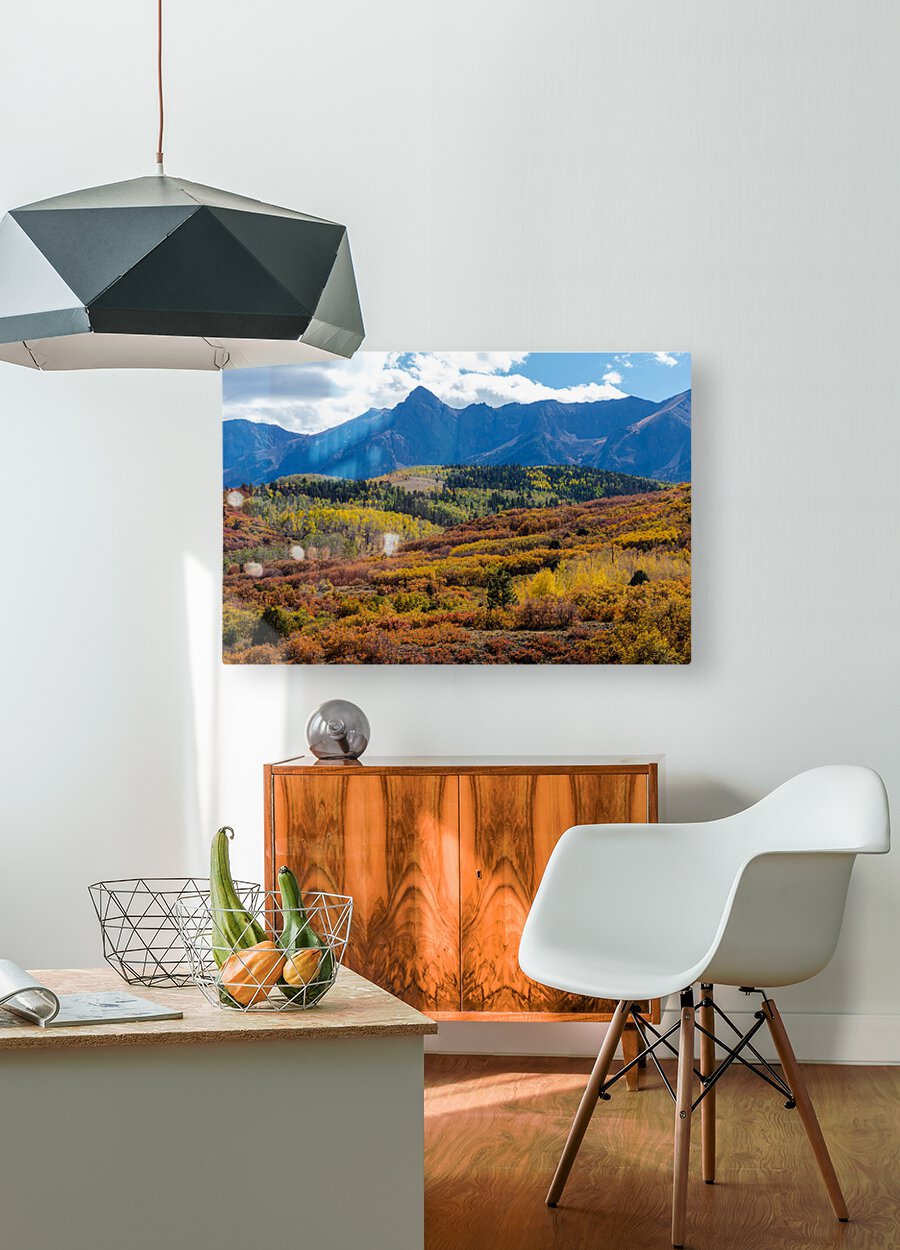 Colorado Color Bonanza  HD Metal print with Floating Frame on Back
