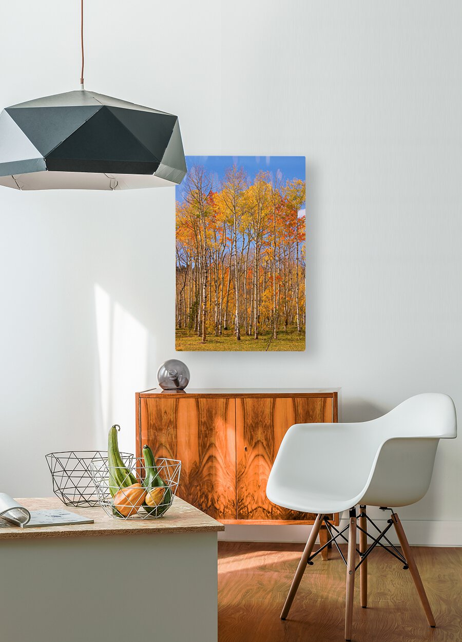 colorful colorado autumn   HD Metal print with Floating Frame on Back