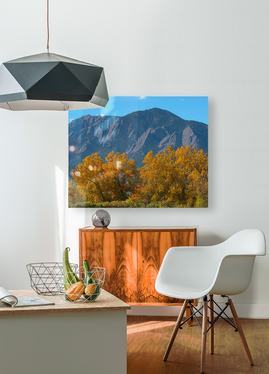 Boulder Flatirons Mighty Cottonwood Trees  HD Metal print with Floating Frame on Back