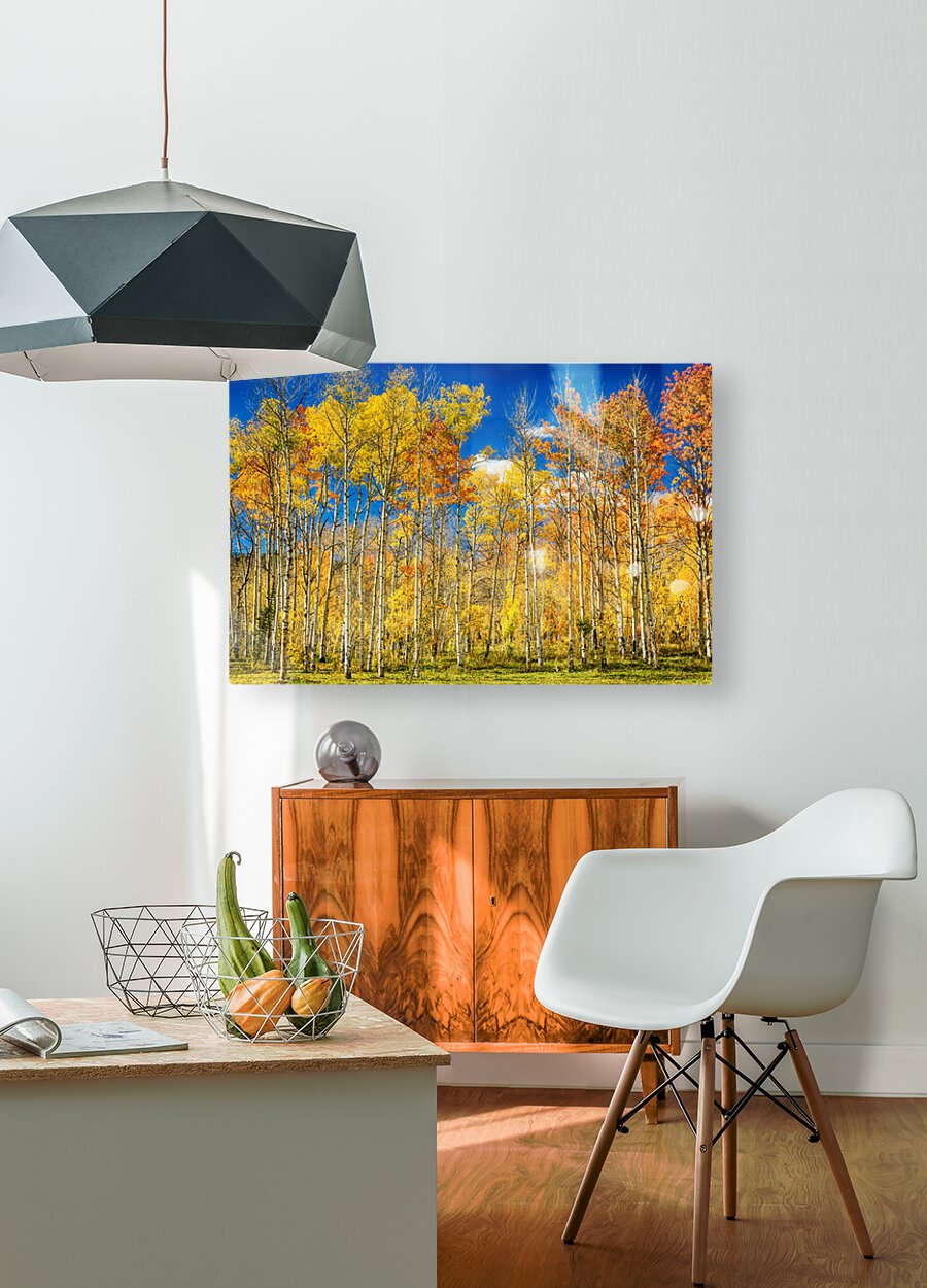 colorful colorado autumn aspen trees  HD Metal print with Floating Frame on Back