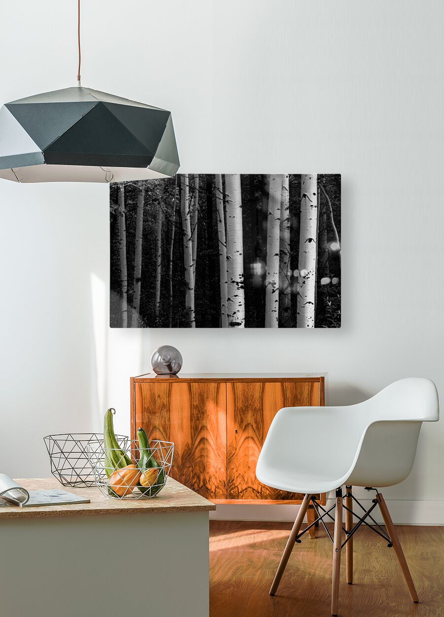 Shades Of A Forest  HD Metal print with Floating Frame on Back