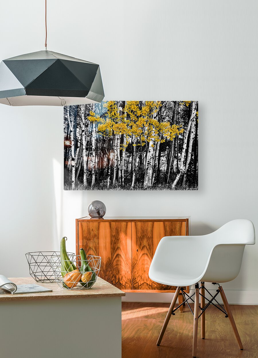 Aspen Touch of Orange  HD Metal print with Floating Frame on Back