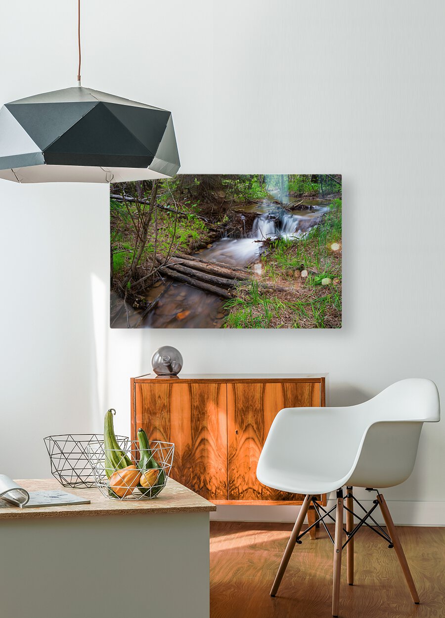 Creek Crossing Forest Woods  Impression métal HD avec cadre flottant sur le dos