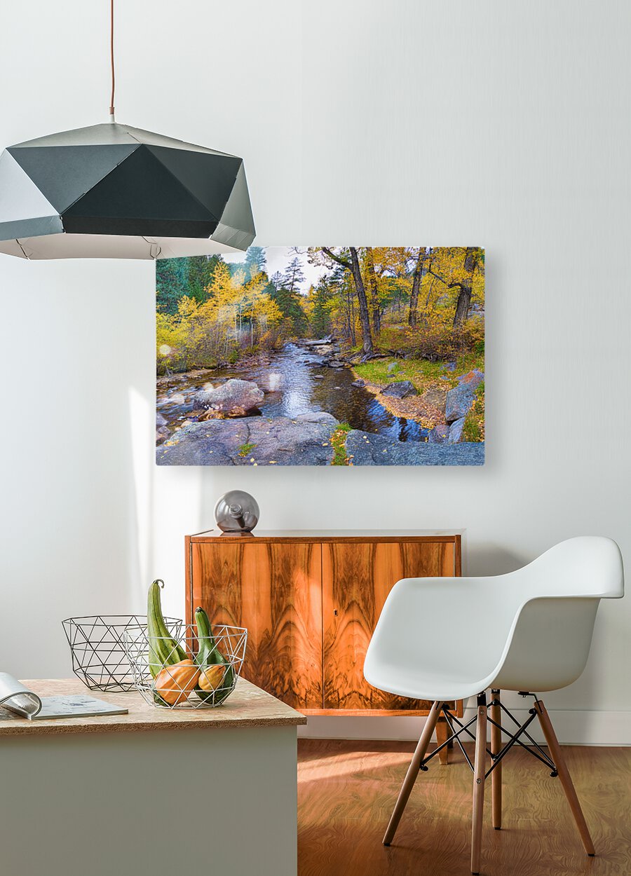Special Place In The Woods  HD Metal print with Floating Frame on Back