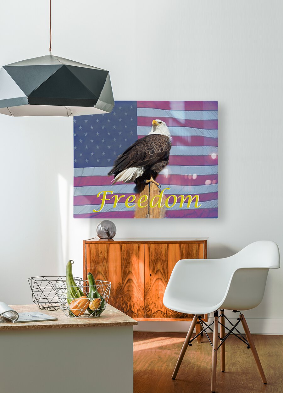 American Freedom  Impression métal HD avec cadre flottant sur le dos