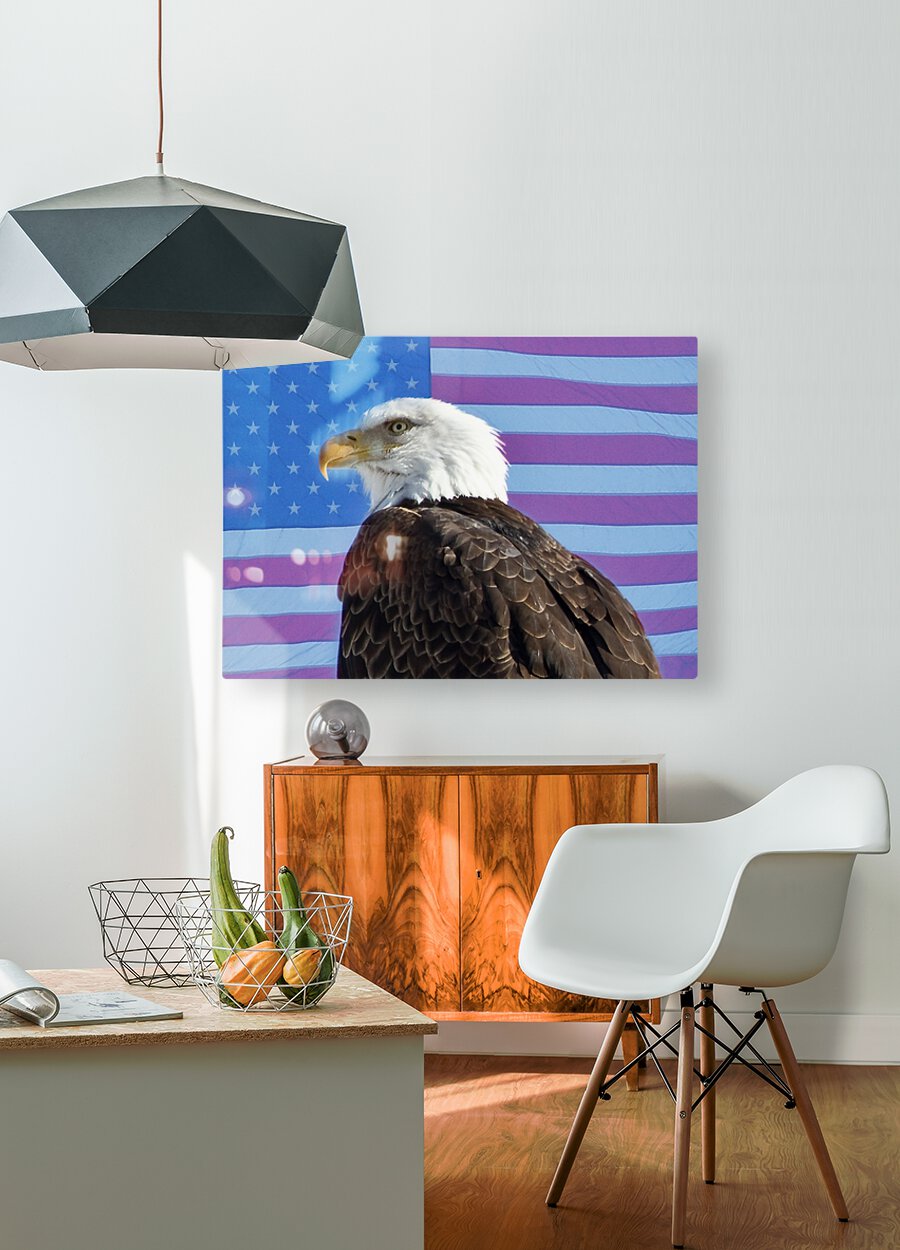 American Eagle 2  HD Metal print with Floating Frame on Back
