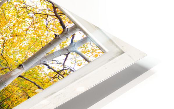 Happy Forest  Autumn Season Rustic Window View Impression de sublimation métal HD
