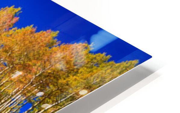 Panorama Autumn Bonanza Impression de sublimation métal HD