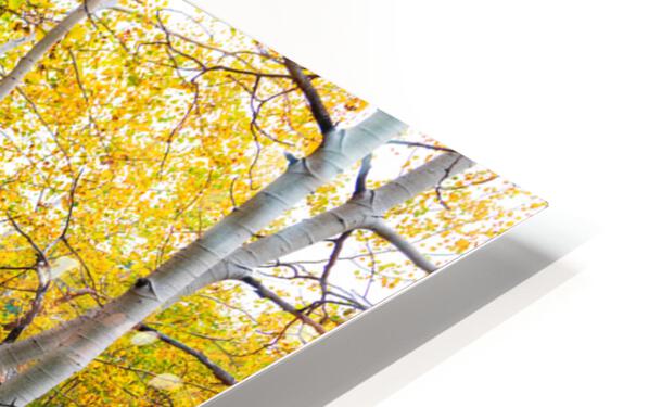 Happy Place In Woods HD Sublimation Metal print