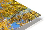 Aspen Curve Impression metal HD