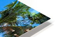 Tropical Vacation View HD Metal print