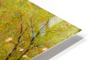 Autumns Enchantment - The Country Road Canopy Impression metal HD