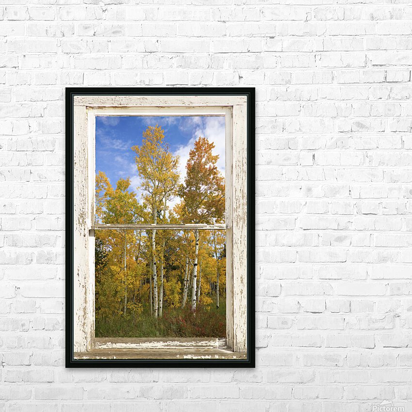 Colorado Autumn Aspens Nature Window View HD Sublimation Metal print with Decorating Float Frame (BOX)