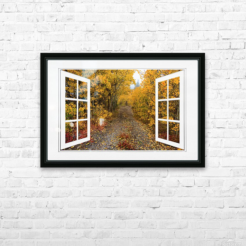 Colorful Trees Down the Drive White Open Window HD Sublimation Metal print with Decorating Float Frame (BOX)