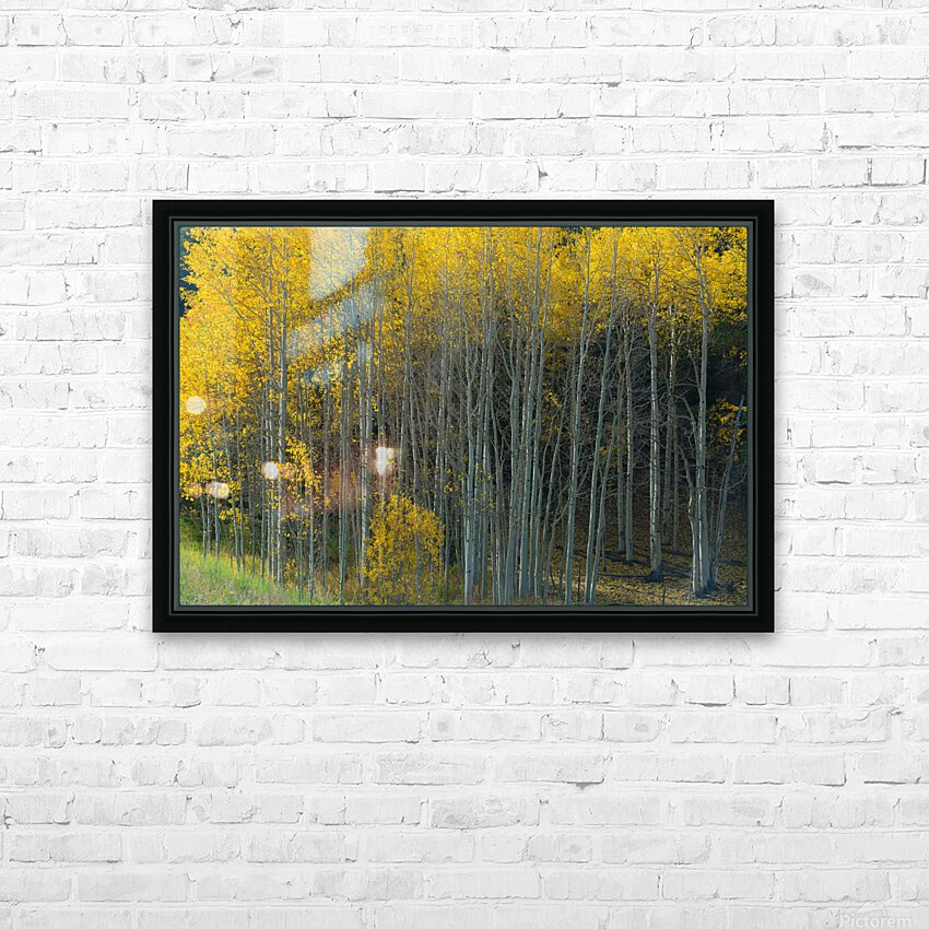 That Morning Autumn Light HD Sublimation Metal print with Decorating Float Frame (BOX)