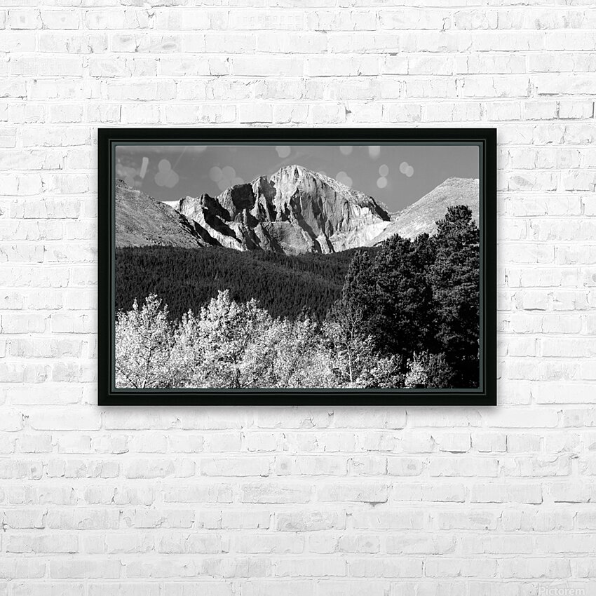 Longs Peak Autumn Aspen Landscape View BW HD Sublimation Metal print with Decorating Float Frame (BOX)