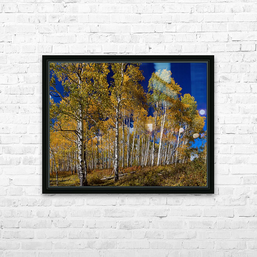 Autumn Blue Skies HD Sublimation Metal print with Decorating Float Frame (BOX)